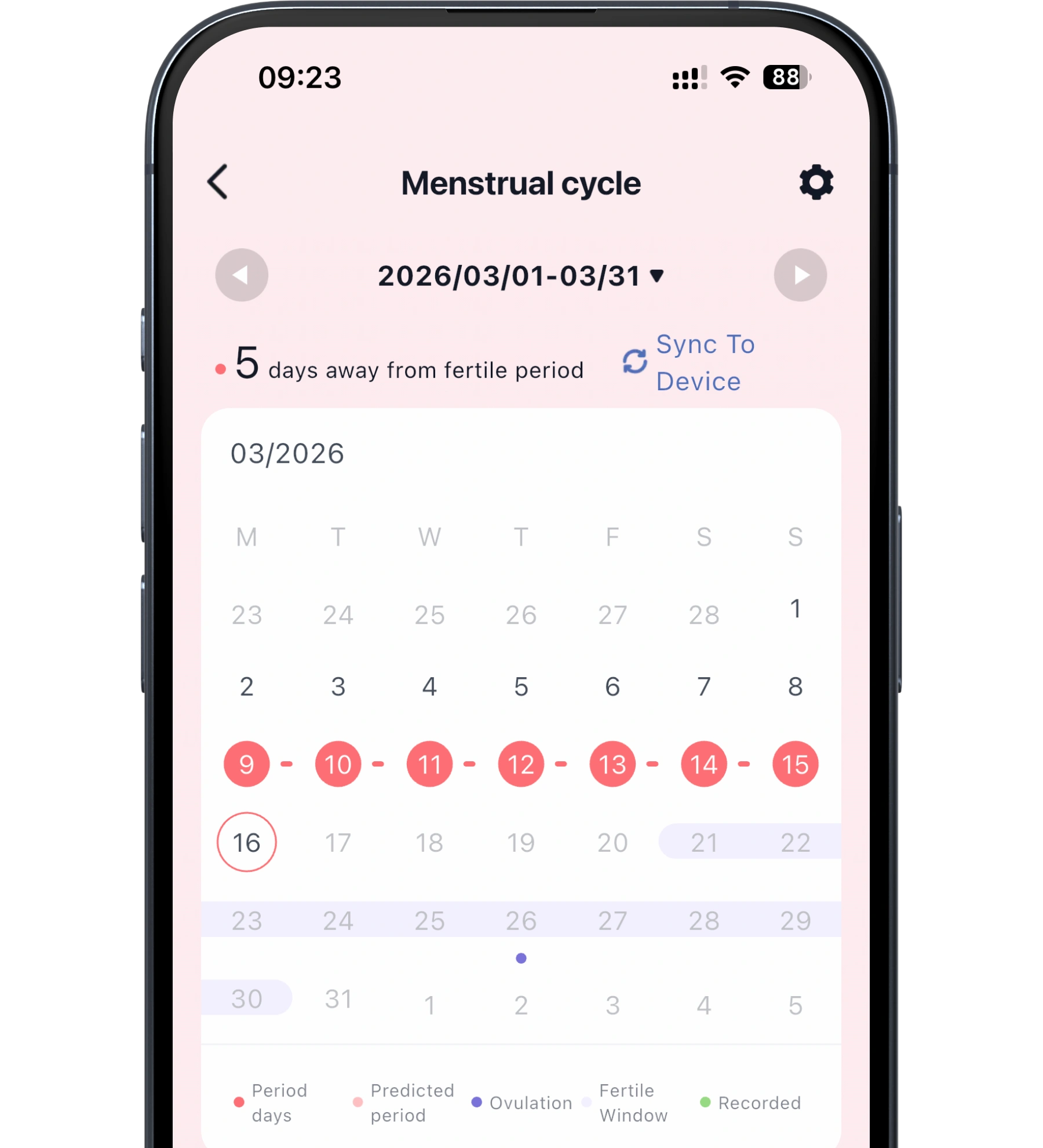 menstrual cycle